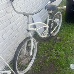 Cionlli Beach cruiser