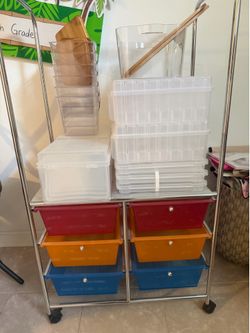 Bins and roller cart