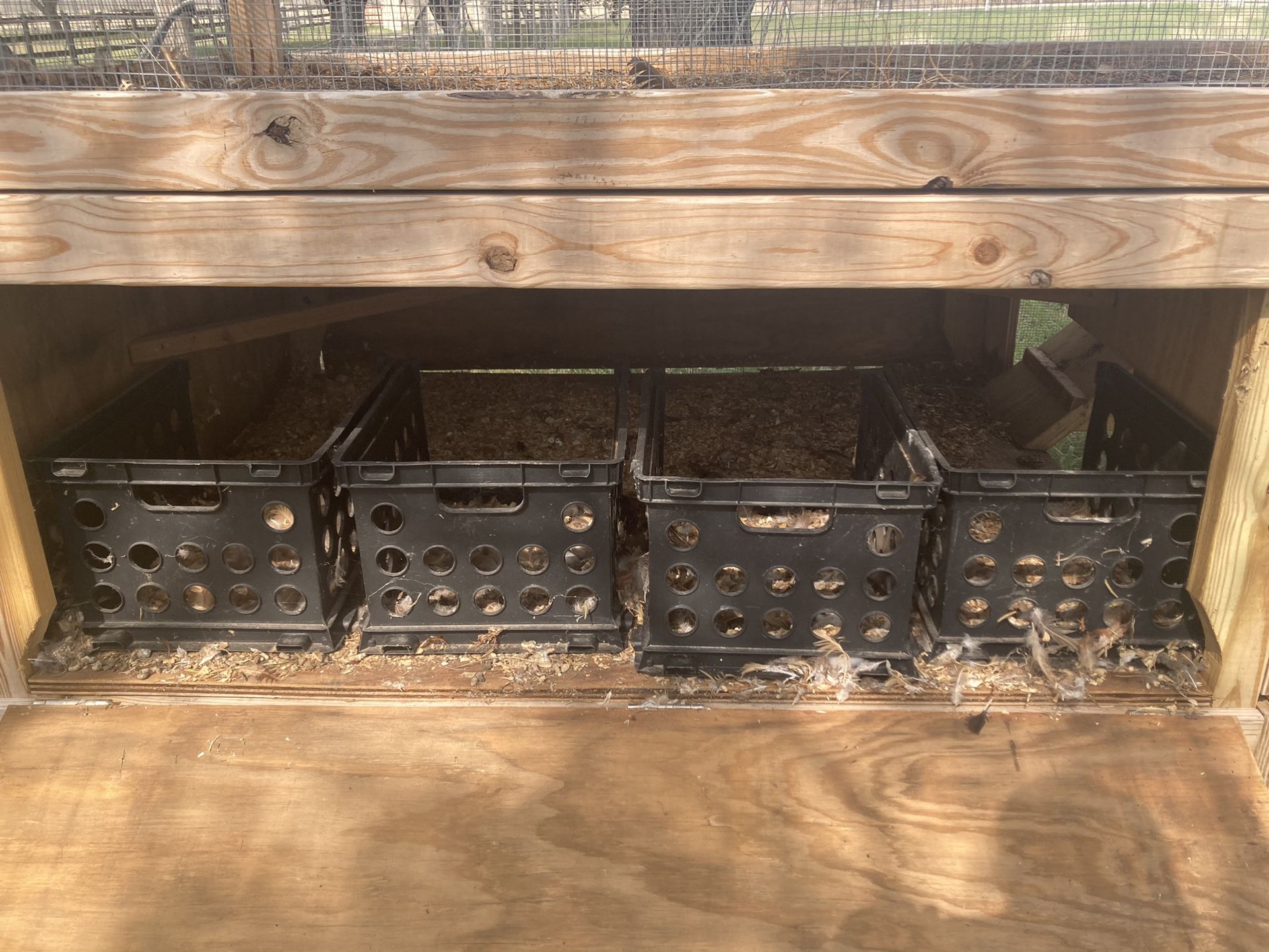 Custom Built 3 Story Chicken Lounge Lounge (Coop)
