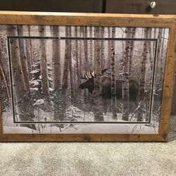 Framed Moose Picture