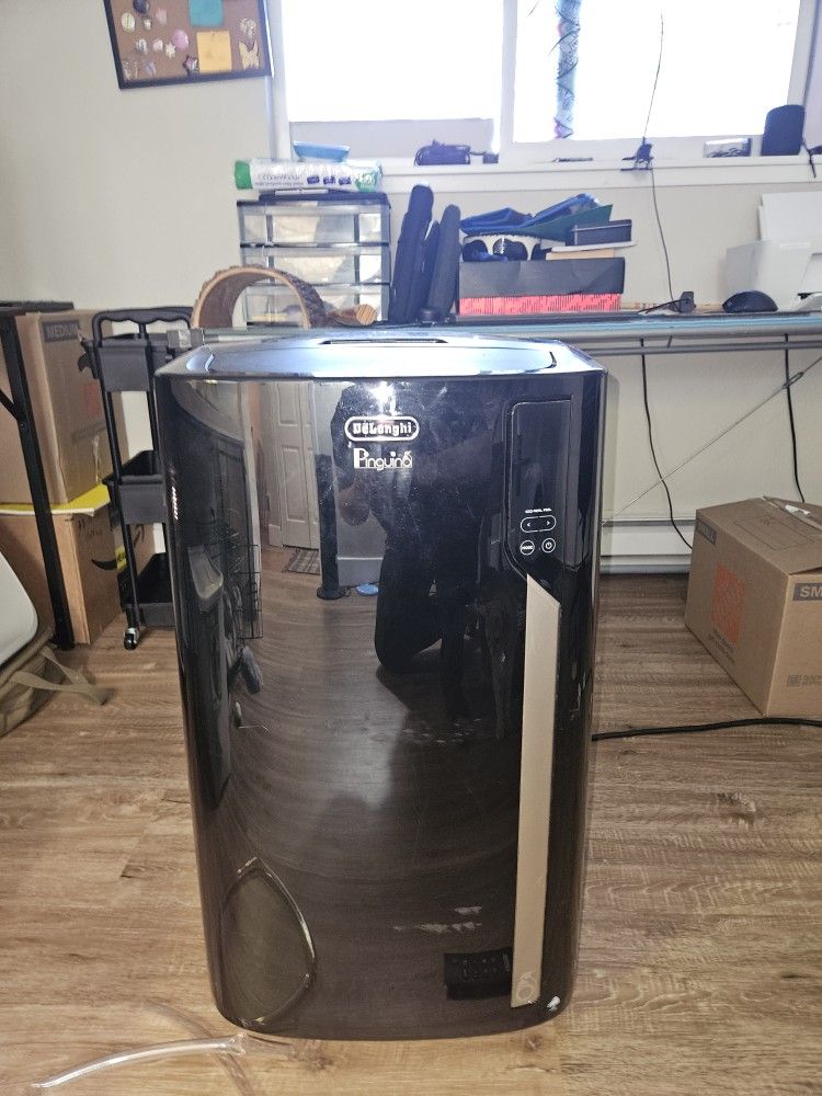 Delonghi Pingiuno Portable AC unit