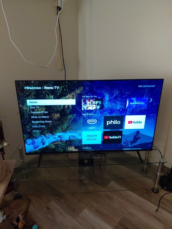 hisense 55 Roku TV