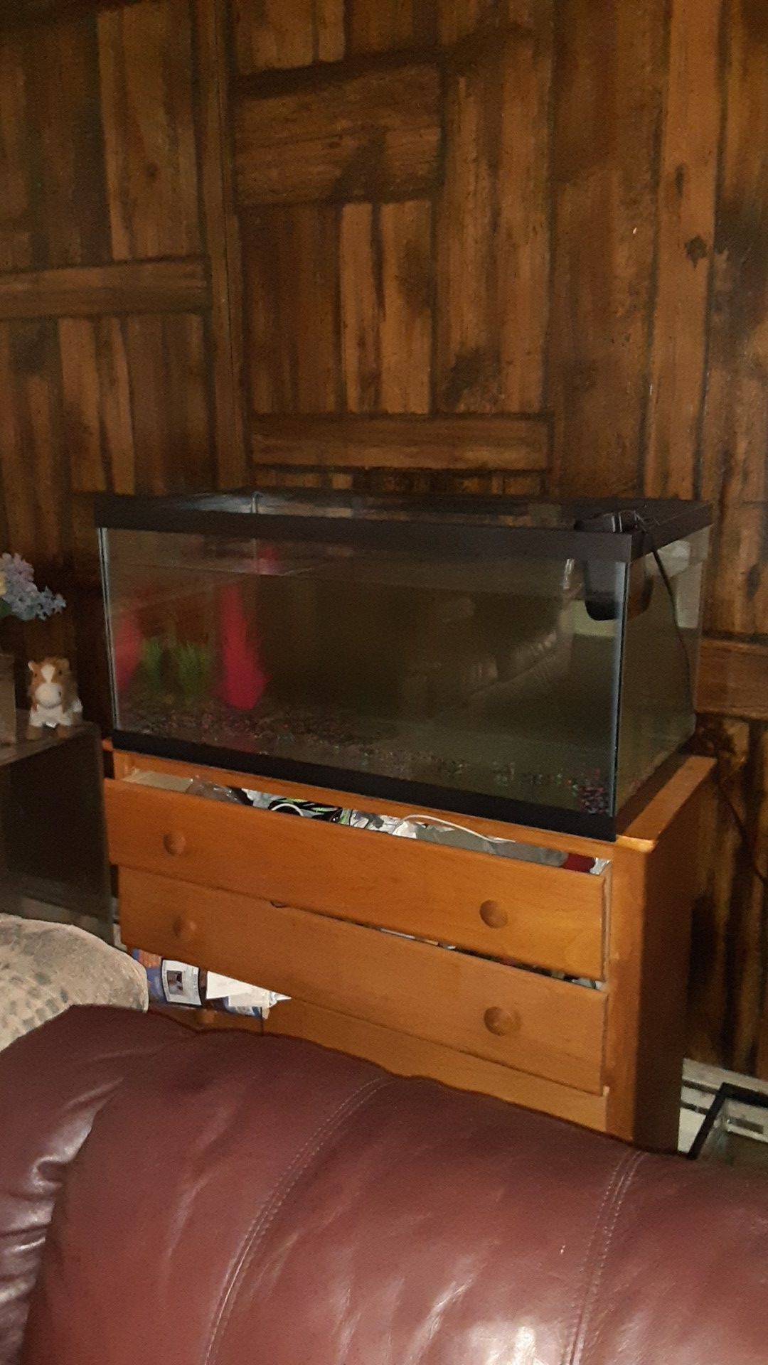 40 gallon aquarium breedrr