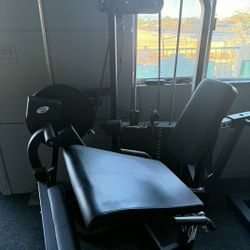 Leg Extension Machine * QUADS* Heavyduty 