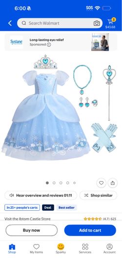 Brand mew Cinderella costume kit