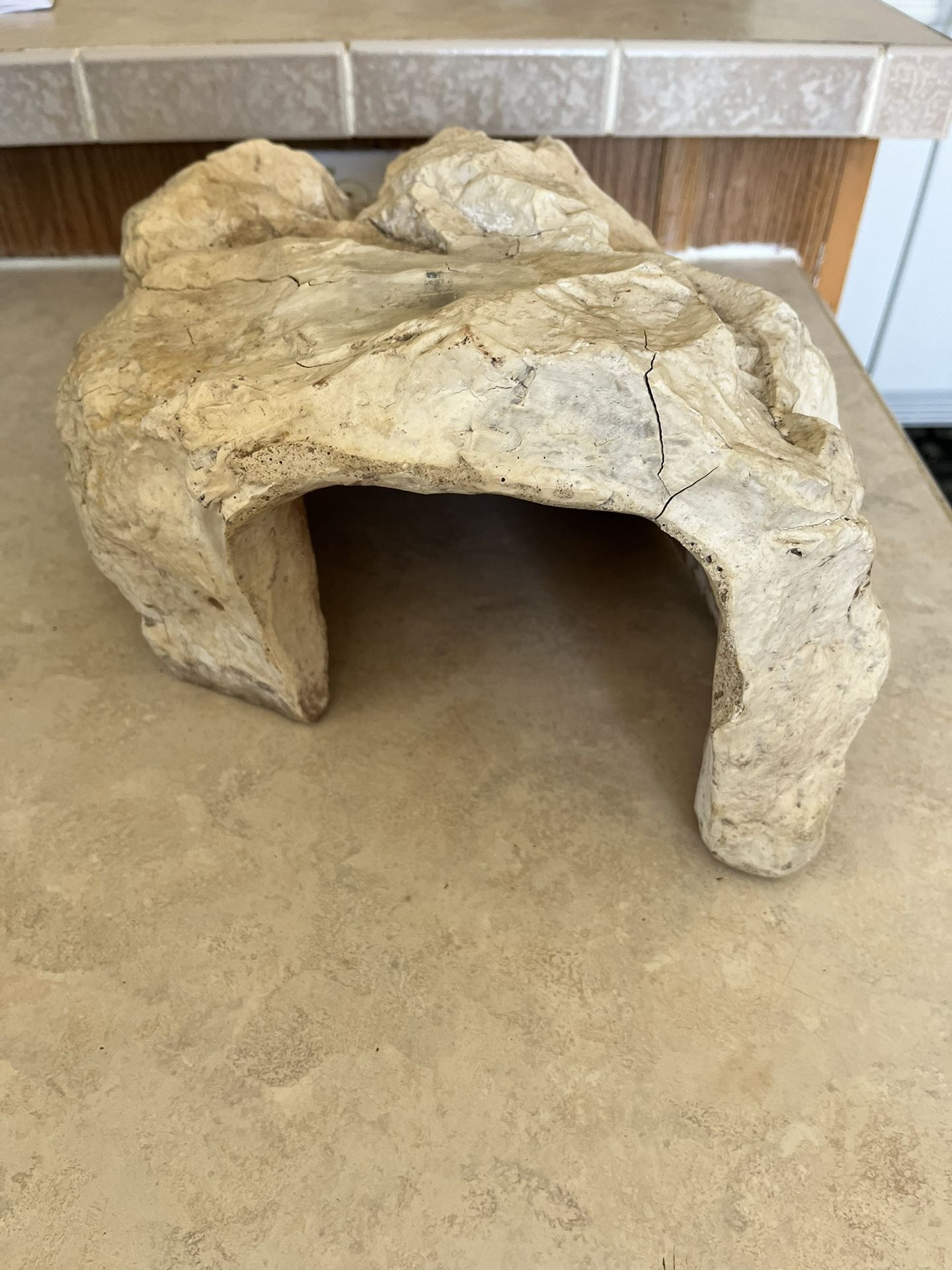 Reptile Cave