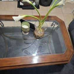 Antique Glass Coffee Table/ Center Table