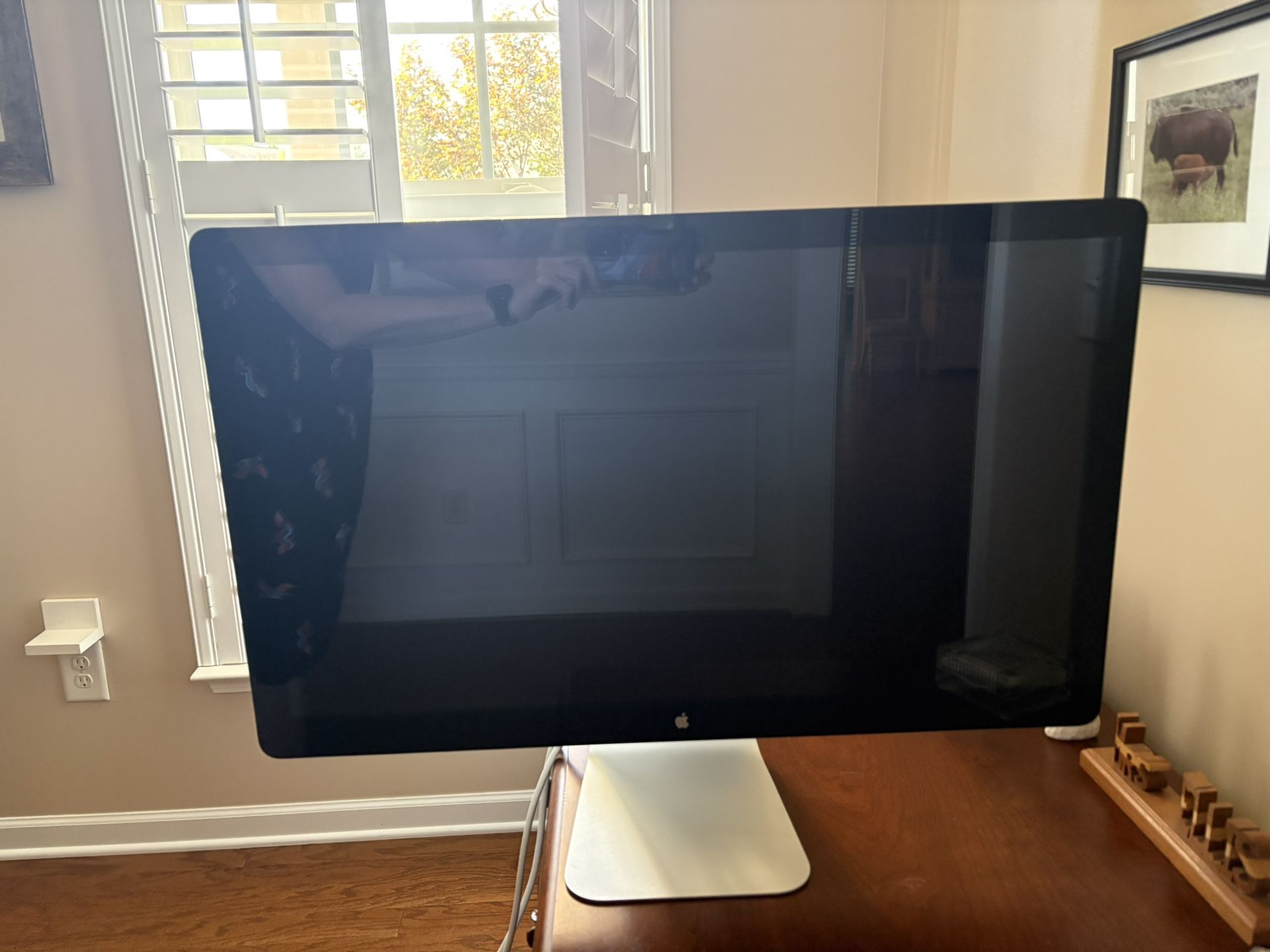 Apple thunderbolt monitor