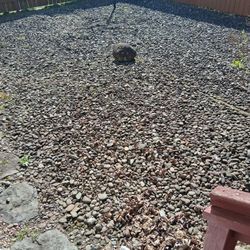 Free River Rock