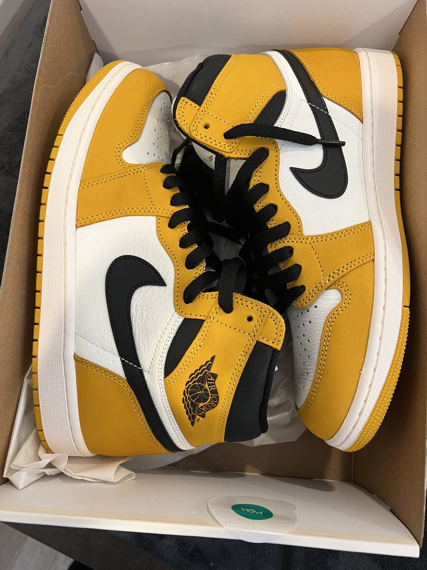 Jordan 1 High 9.5