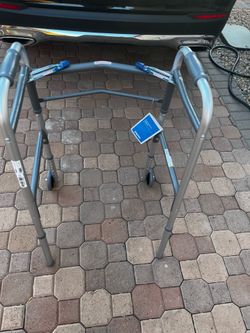 Adult Walker