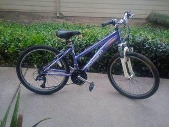 24" Schwinn Ranger Mountain Bike