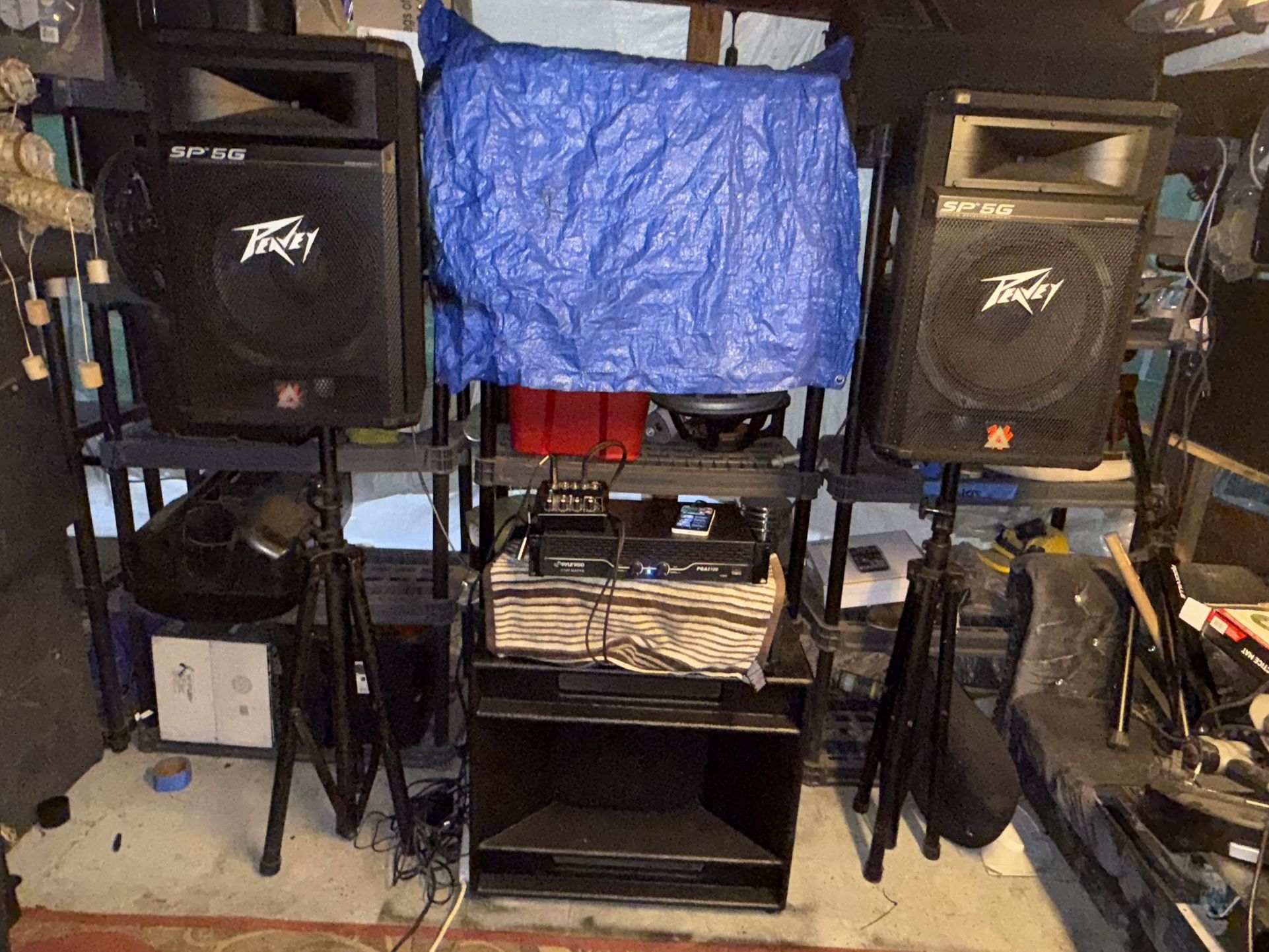 Peavy Speakers N Subs Audio System