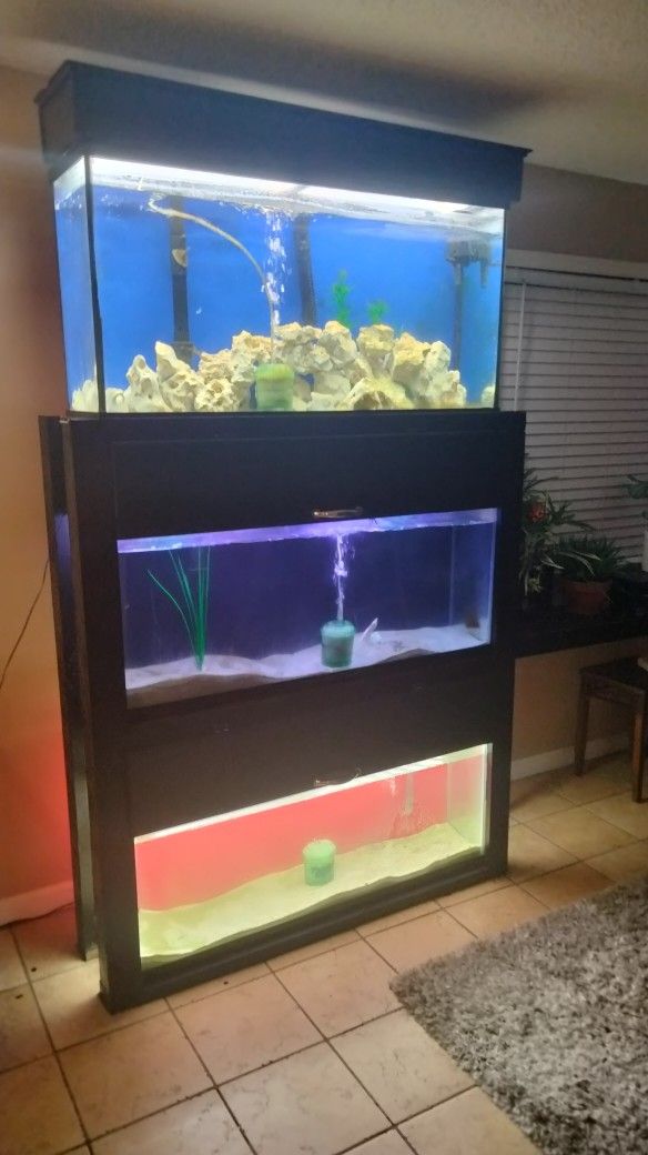 Fish Tanks