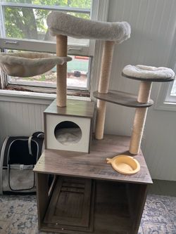 Cat tree with litter box cabinet