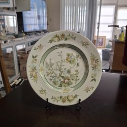 Royal Doulton 10.5" Dinner Plate Tonkin Tree Design Green Band English Fine China