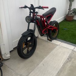 Electric E Bike