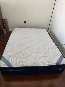 Dreamcloud Queen Mattress