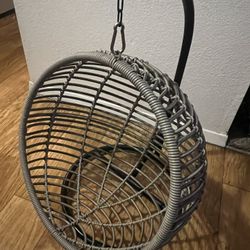 Cat Hammock 