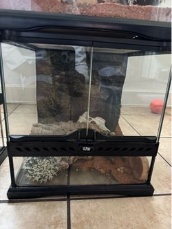 12x12x12 Reptile Enclosure 🐍