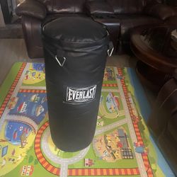 Punching  Bag Everlast 