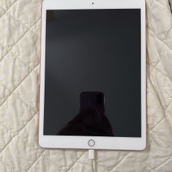 iPad 7th generation Apple iPad (2019) with a 10.2-inch Retina display, Wi-Fi connectivity only, and an A10 Fusion chip.