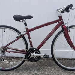 Specialized Vita 700c