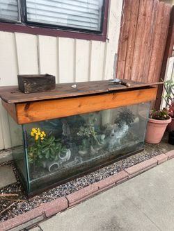 Glass tank fish tank