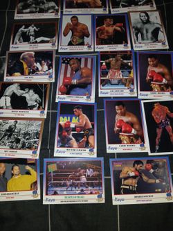 Kayo 1991 boxing cards