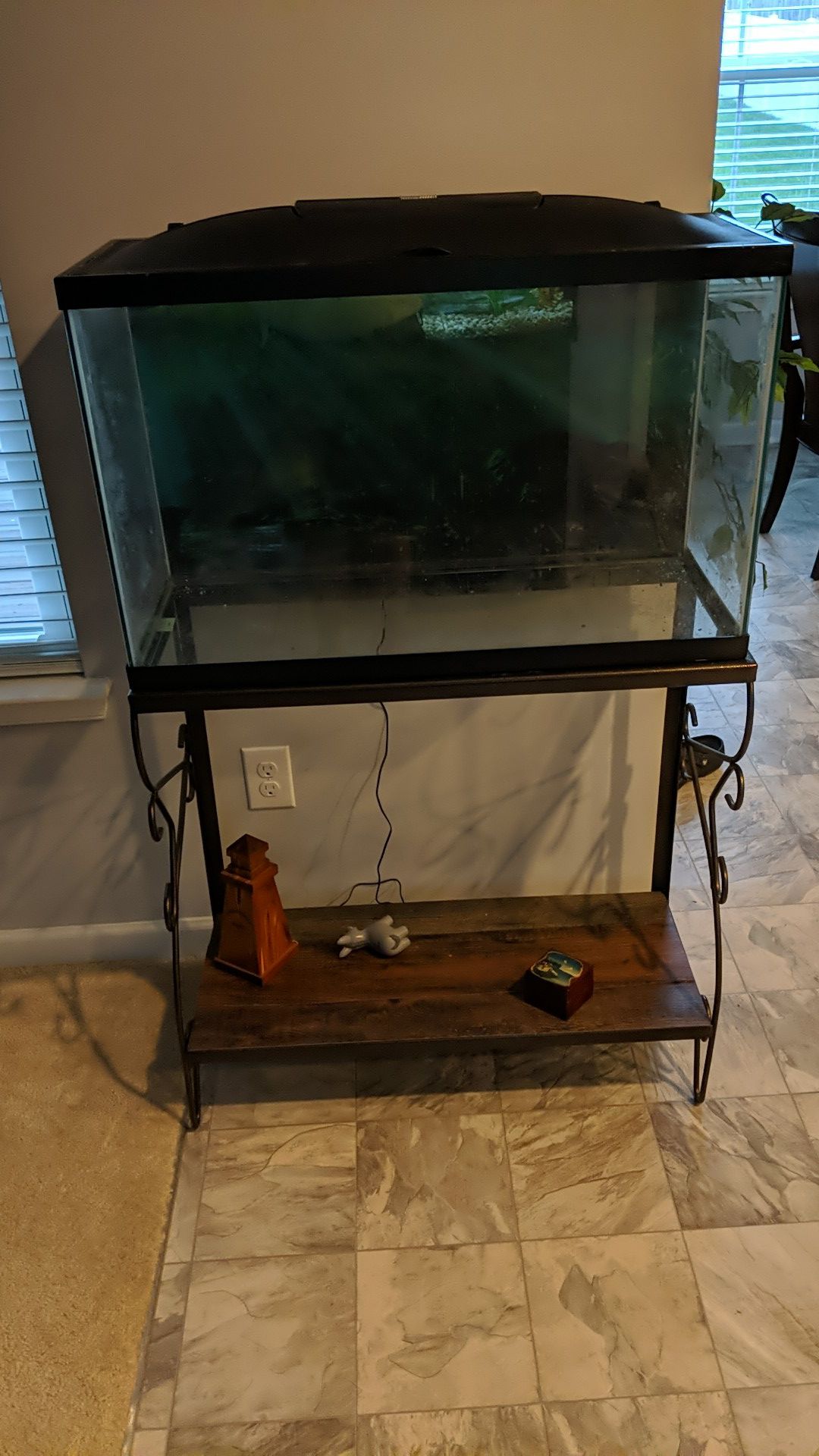 29 gallon fish tank with stand and LED hood