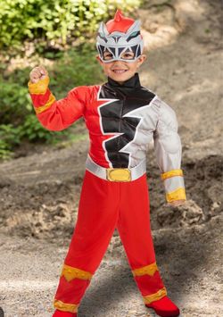 Power Ranger Costume