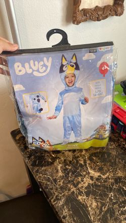 Bluey Costume