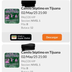 Camilo Septimo Tijuana