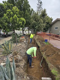 Landscape And Construction
