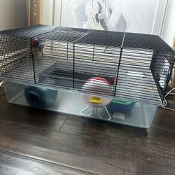 Hamster Cage 