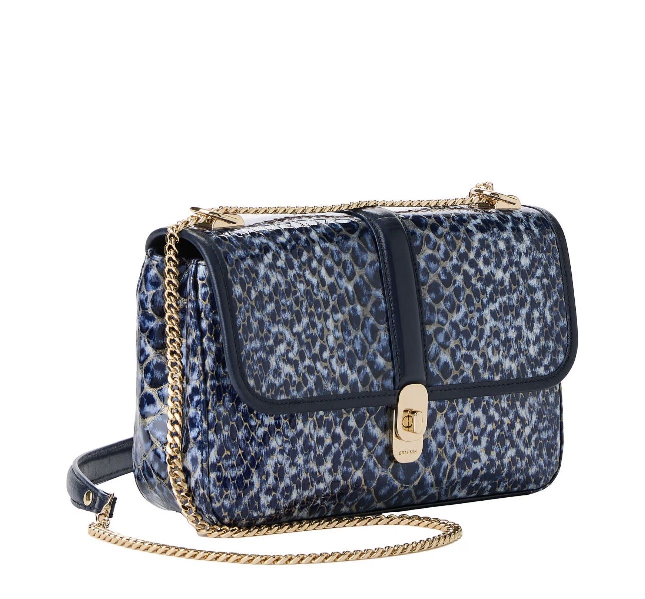 Brahmin. Size Medium