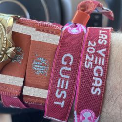 2025 EDC Artist Guest Wristband