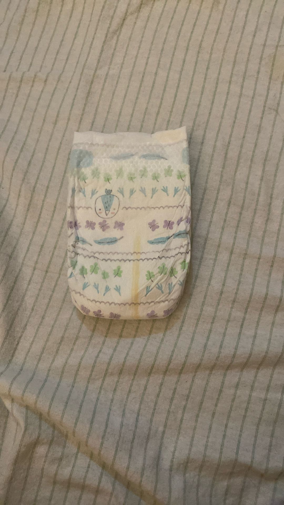 Kirkland Size 1 Diapers