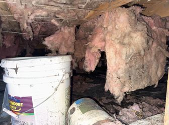 $0 Crawlspace & Attic Insulation!