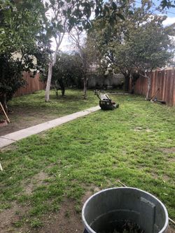 Yard clean up