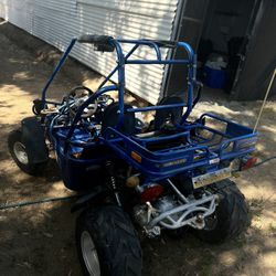 Buggy’s 