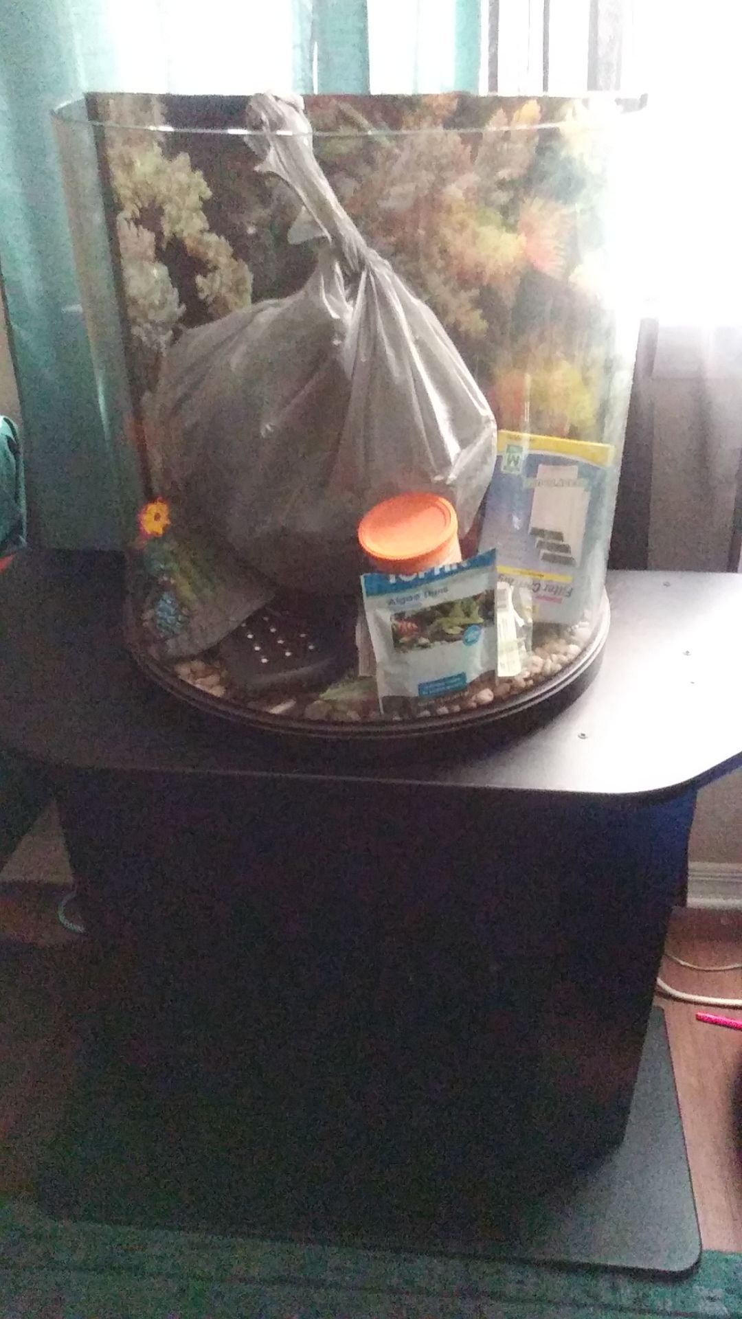 Oval fish aquarium and stand