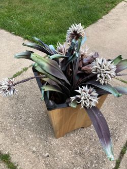Decorative planter