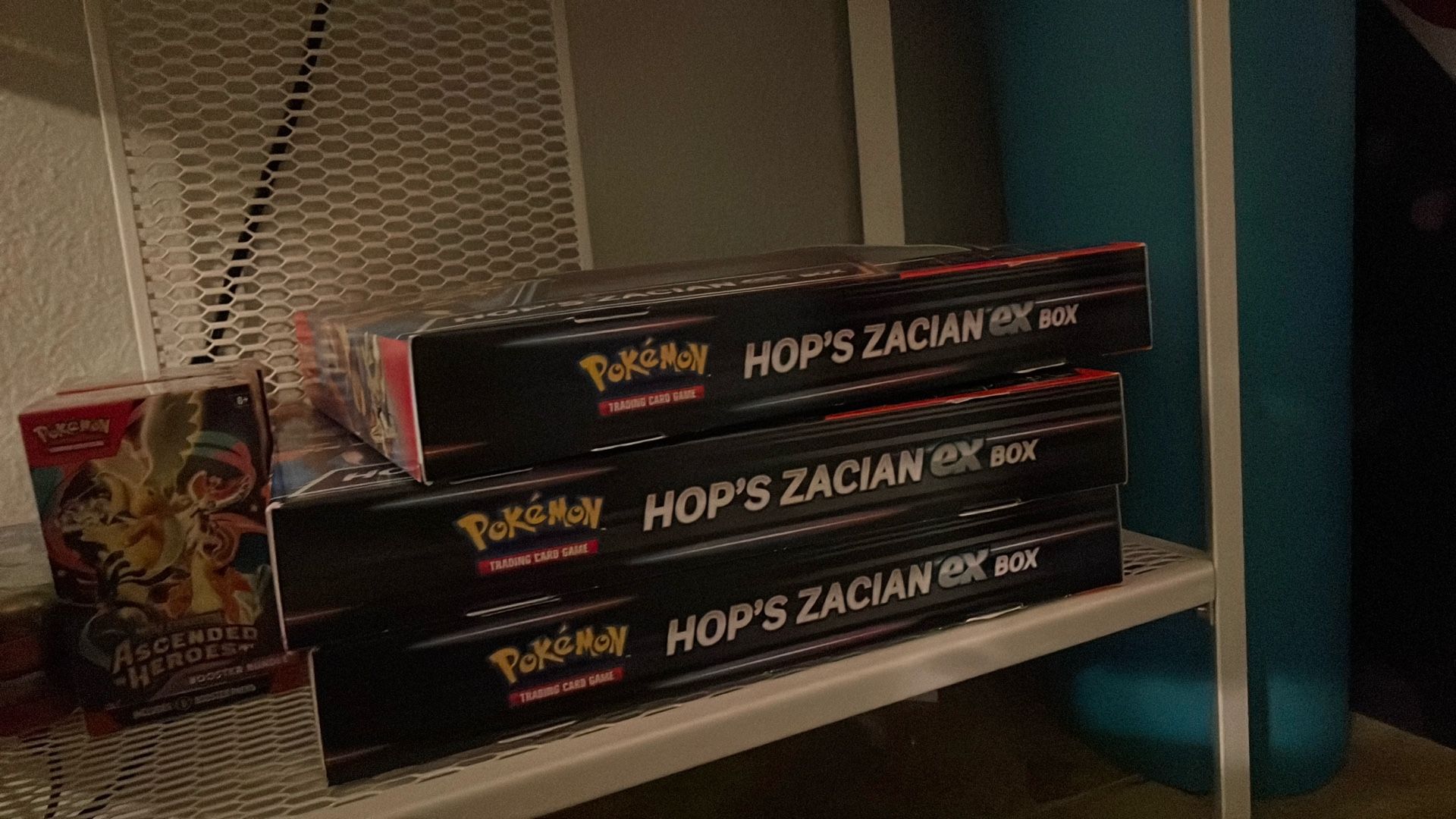 Hop’s Zacian Ex Box