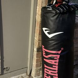 Punching Bag With The Gloves