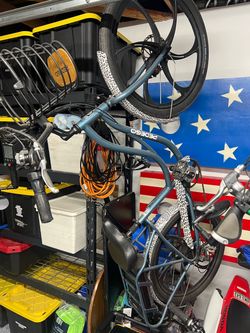 Pedego electric bike