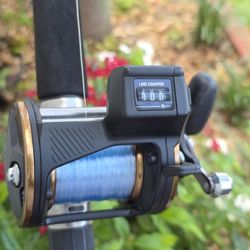 Daiwa Saltist Reel/New Lines/Daiwa Rod