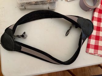 Dog harness large