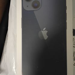 iPhone 13 (100% health)