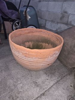 Terracotta pot